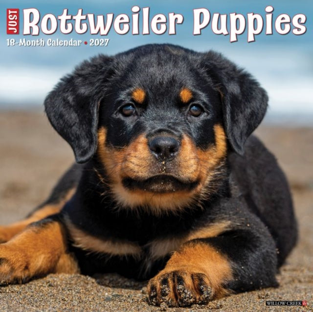 Rottweiler Puppies 2027 Wall