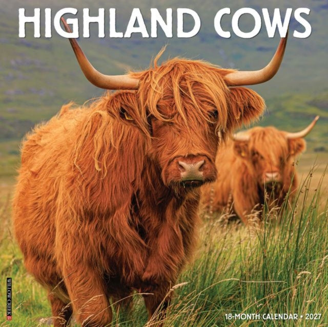 Highland Cows 2027 Wall
