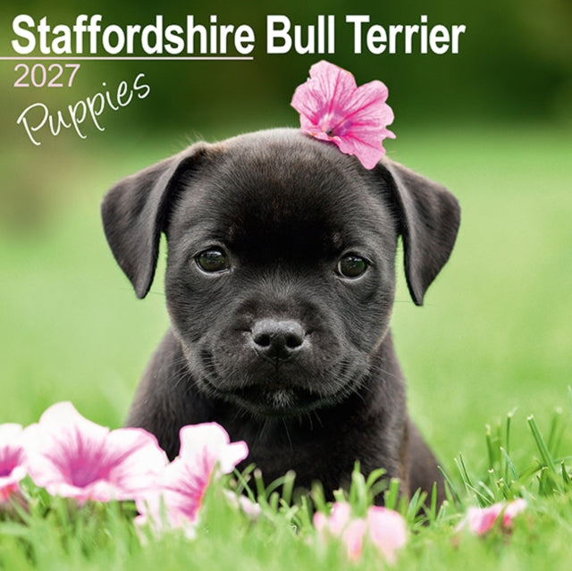Staffordshire Bull Terrier Puppies Wall