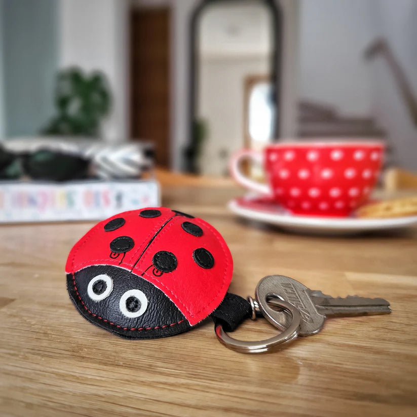 Obesek za ključe Pikapolonica