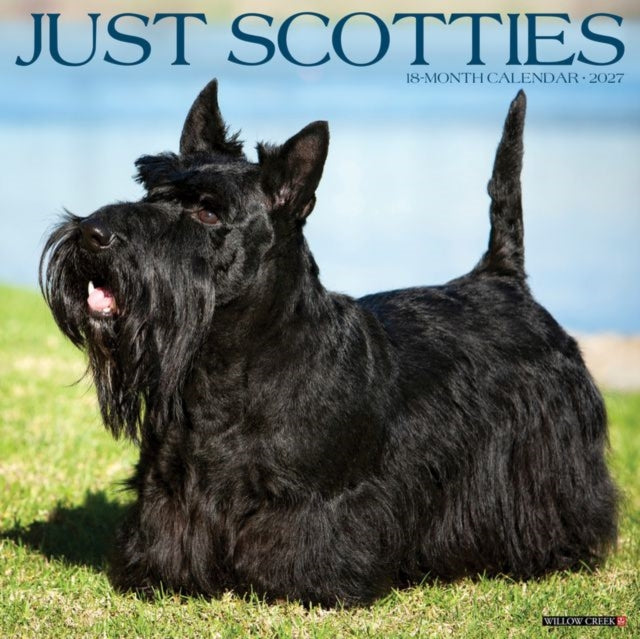 Scotties 2027 Wall