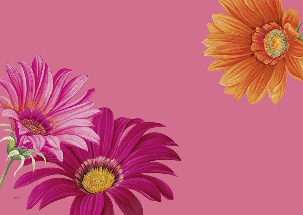 Pogrinjek 43X29, Joyful Gerbera