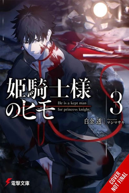 Kept Man of the Princess Knight, Vol. 3