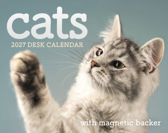 Cats Mini Box