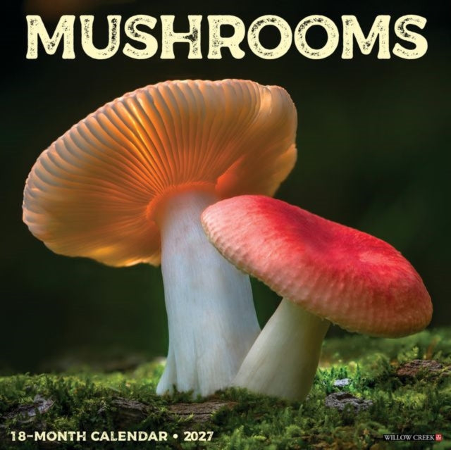 Mushrooms 2027 Wall