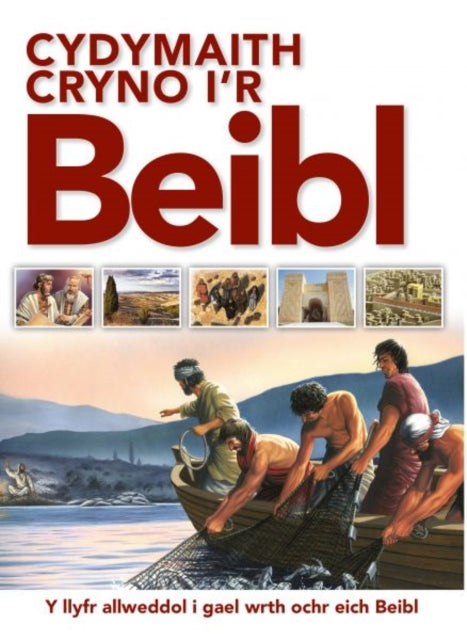 Cydymaith Cryno i'r Beibl