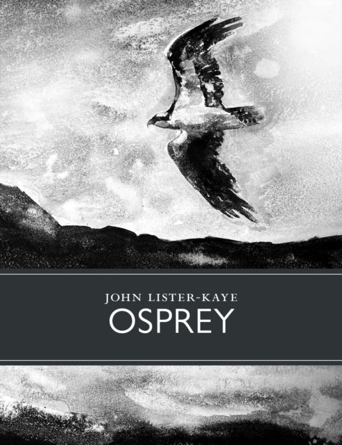 Osprey