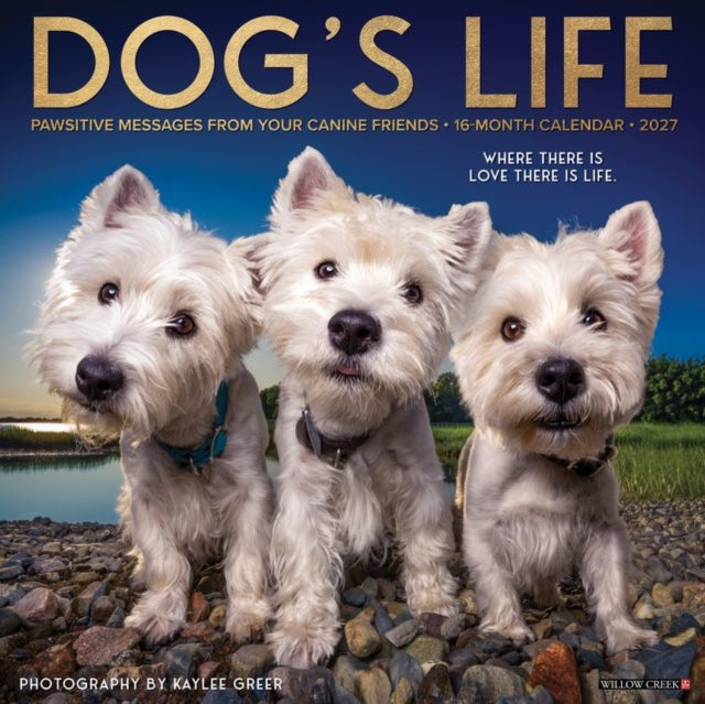 Dog's Life 2027 Wall