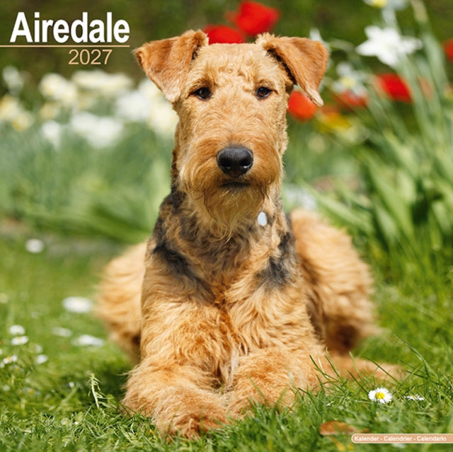 Airedale Terrier Wall