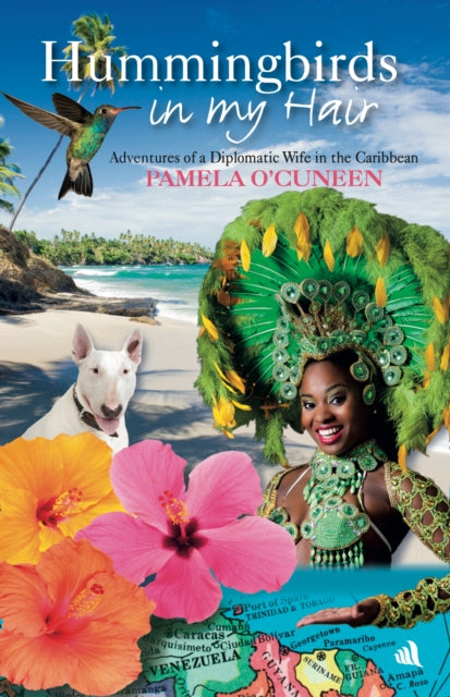 Hummingbirds in My Hair