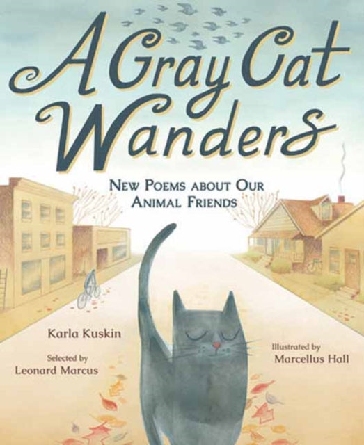 Gray Cat Wanders