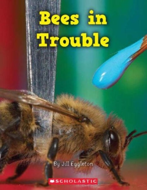 Bees in Trouble