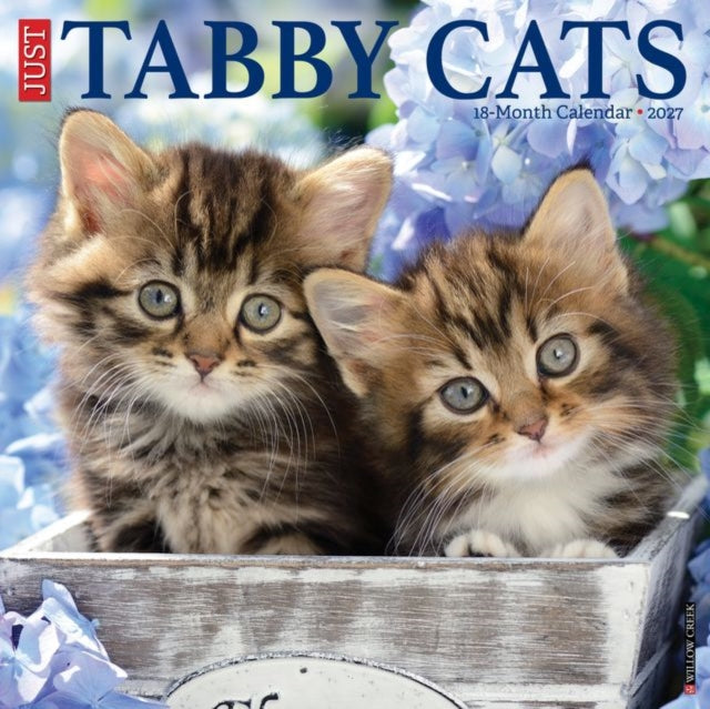 Tabby Cats 2027 Wall