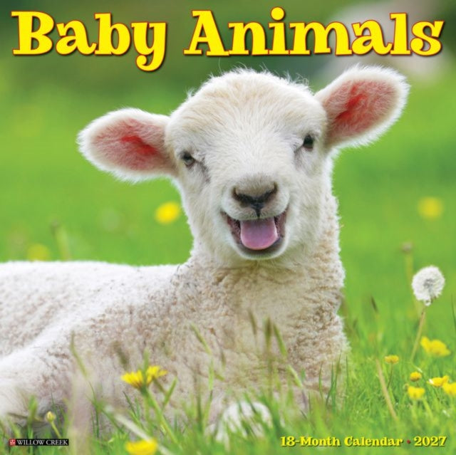 Baby Animals 2027 Wall