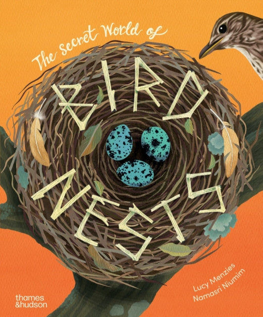 Secret World of Bird Nests