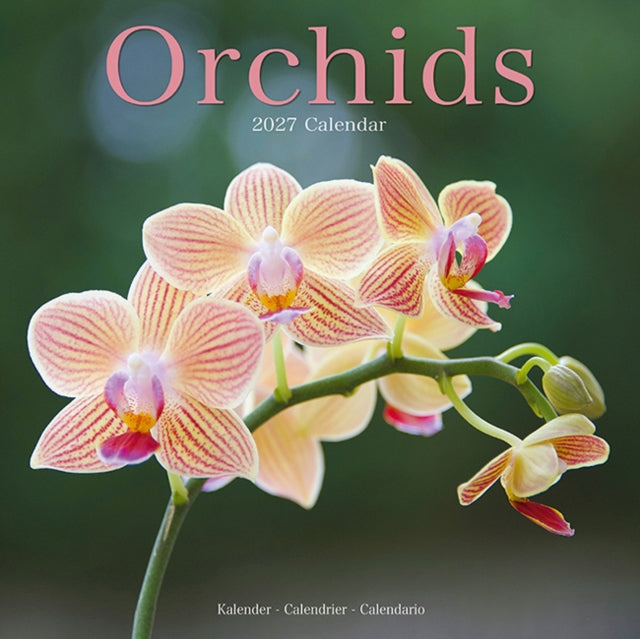 Orchids
