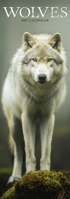 Wolves Slim