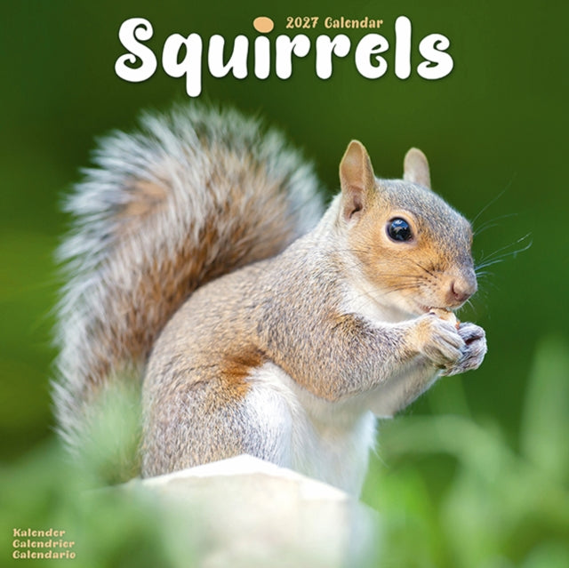 Squirrels
