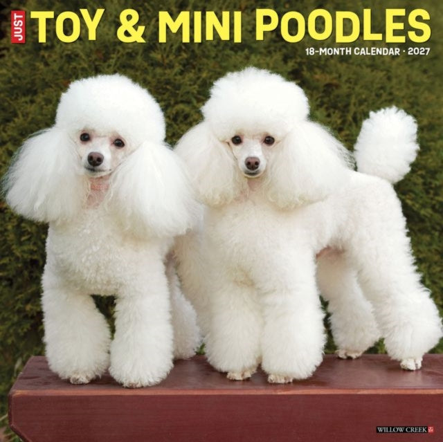 Toy & Miniature Poodles 2027 Wall