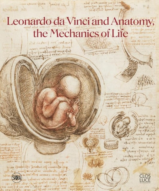 Leonardo da Vinci and Anatomy