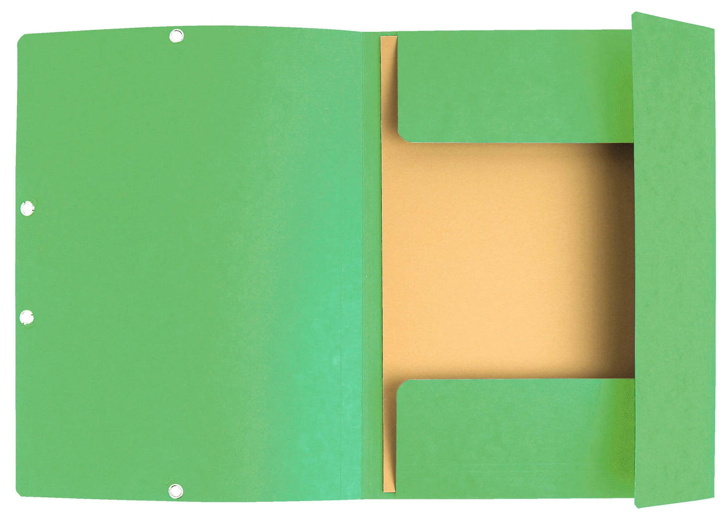 Mapa s klapo in elastiko Exacompta, A4, kartonska, svetlo zelena