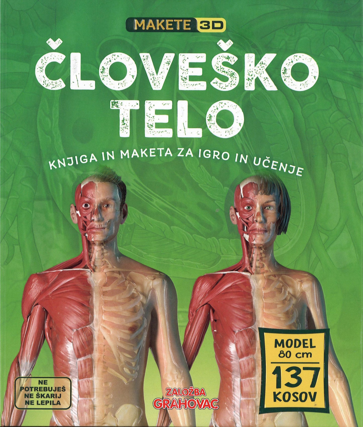 Makete 3D: Človeško telo