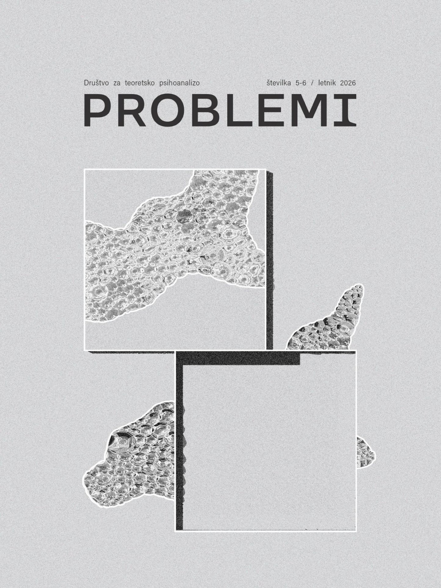 Revija PROBLEMI (št. 5-6/2026)