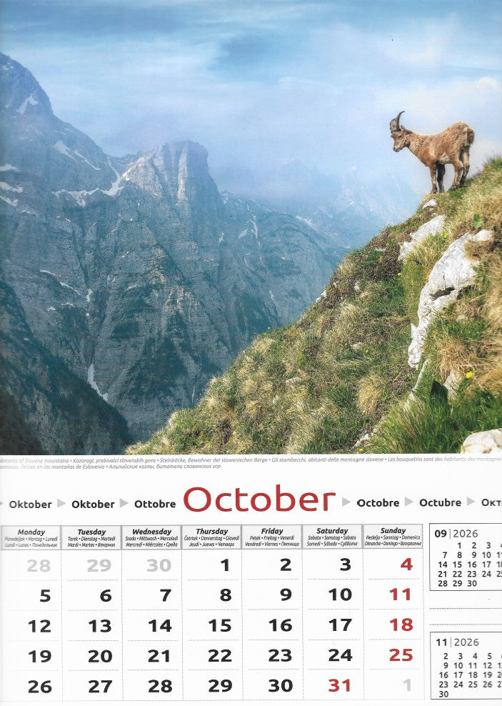 Stenski koledar Slovenija 2026