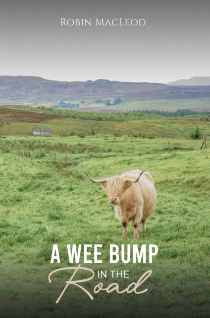 Wee Bump in the Road