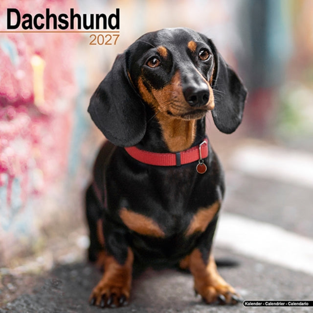 Dachshund Wall