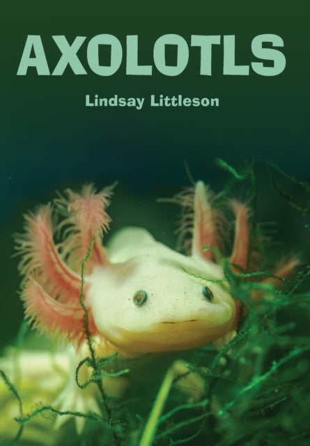Axolotls