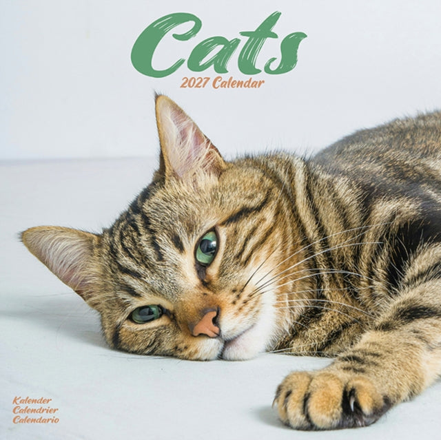 Cats