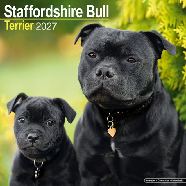 Staffordshire Bull Terrier Wall