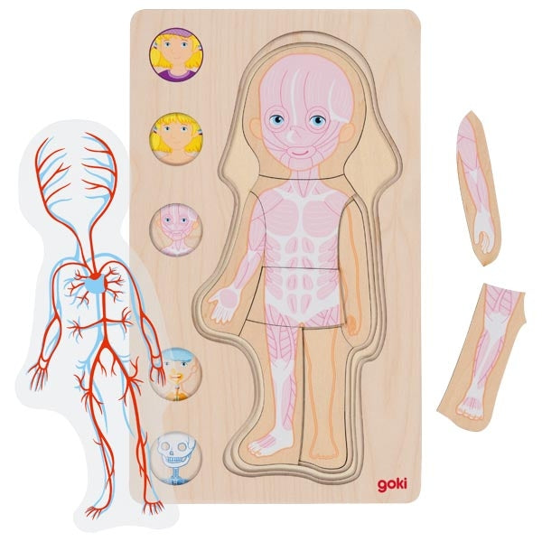 Anatomska sestavljanka GOKI, deklica