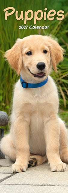 Puppies Slim