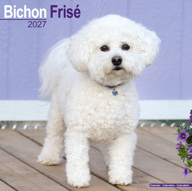 Bichon Frise Wall