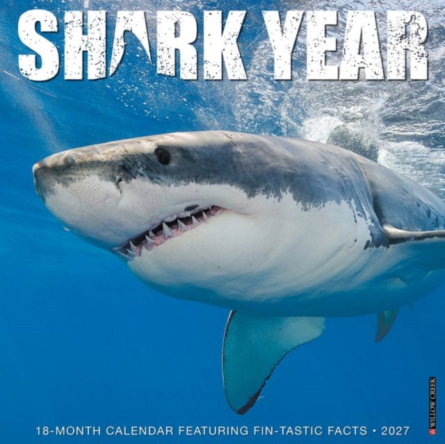 Shark Year 2027 Wall
