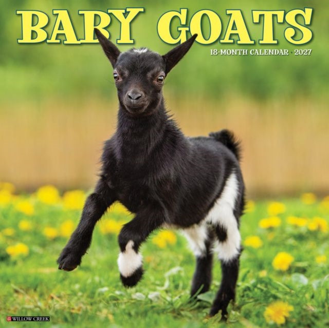 Baby Goats 2027 Wall
