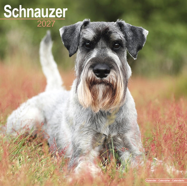 Schnauzers Wall