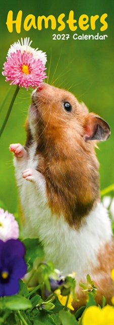 Hamsters Slim