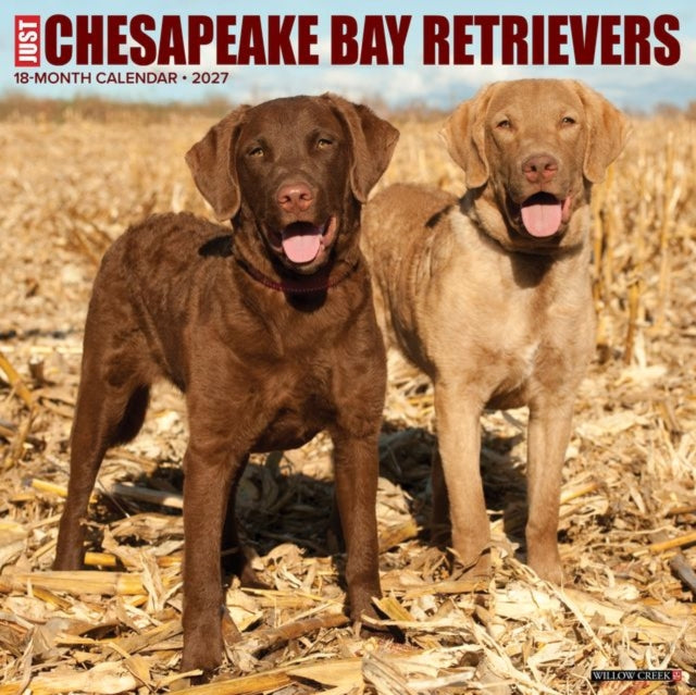 Chesapeake Bay Retrievers 2027 Wall