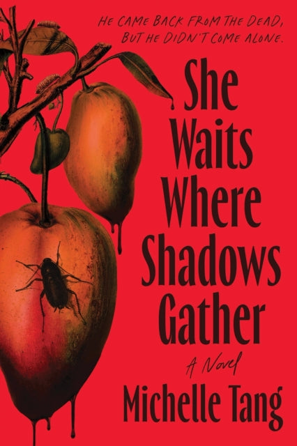 She Waits Where Shadows Gather
