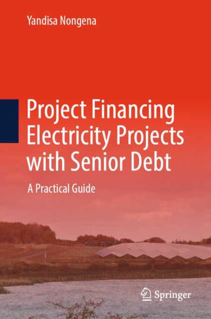 Project Financing Electricity Projects with Senior Debt