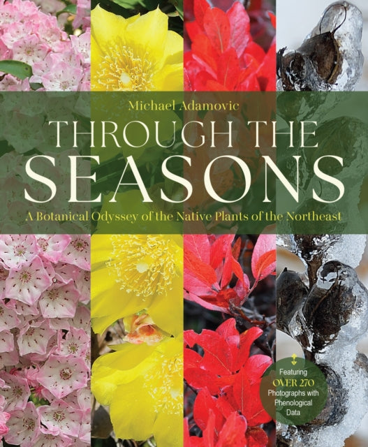 Through the Seasons
