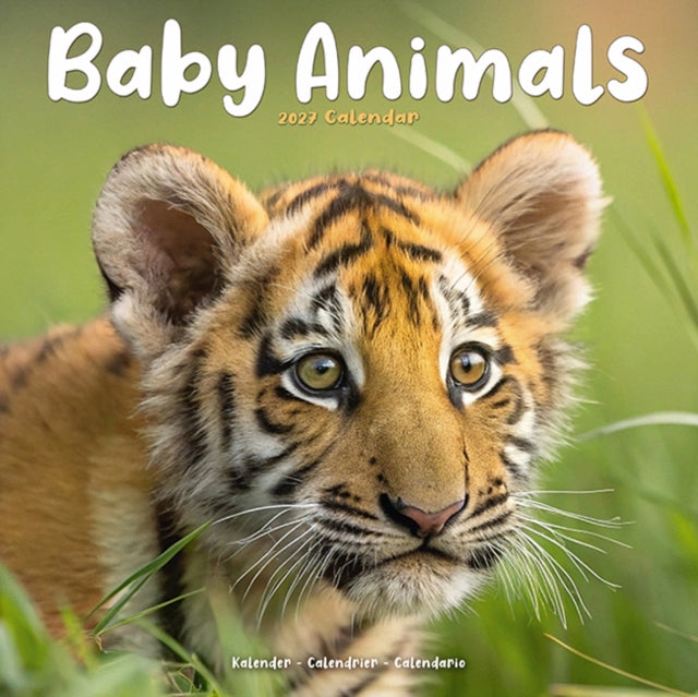 Baby Animals