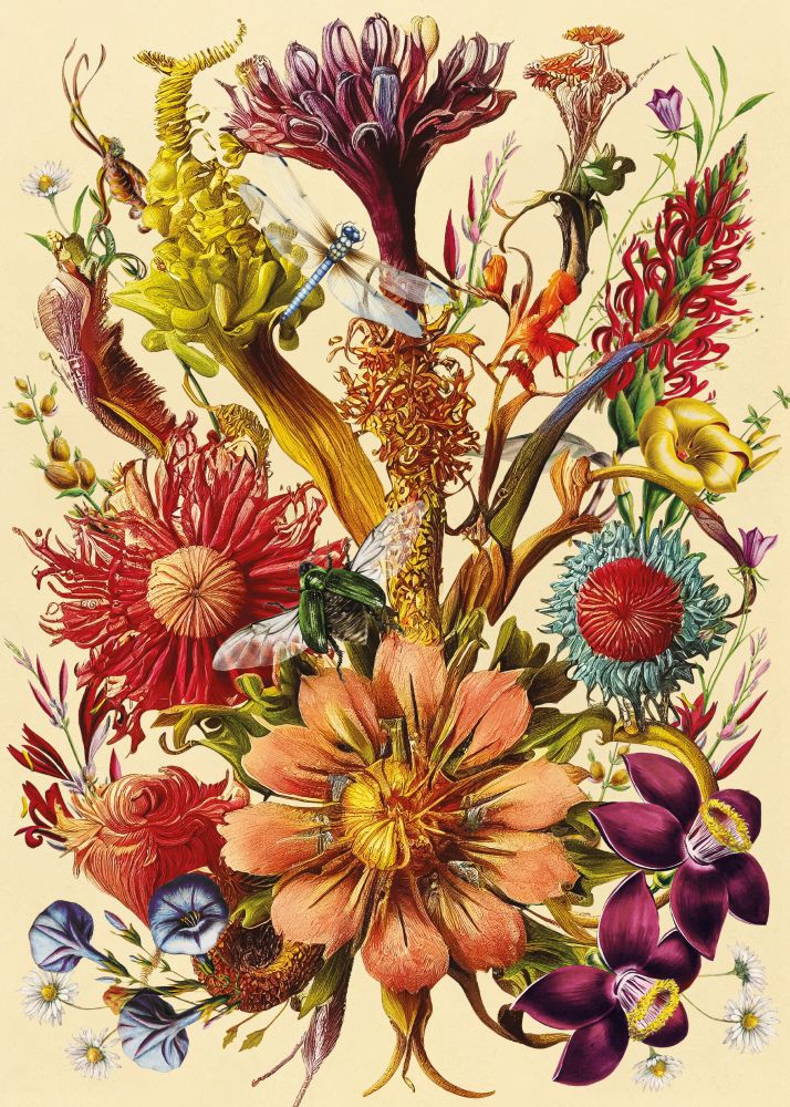 Puzzle Flowers 5, 1000 kosov