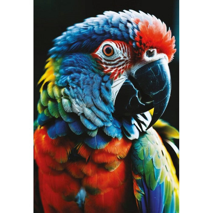 Puzzle Colourful Nature 9, 250 kosov