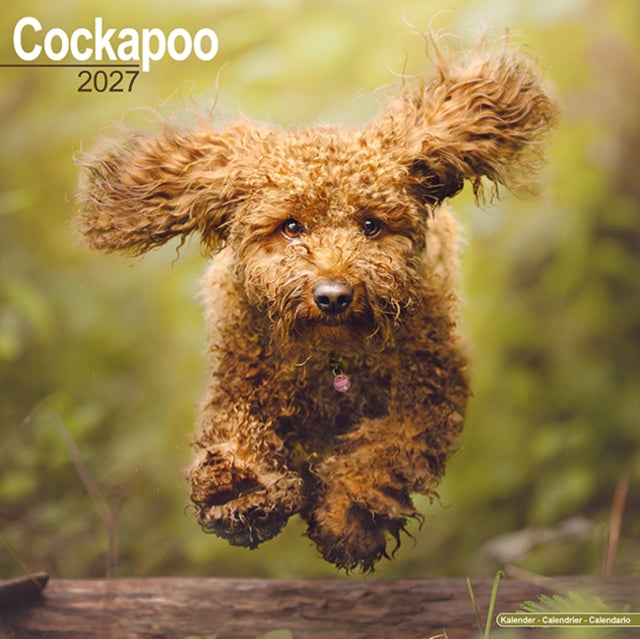 Cockapoo Wall