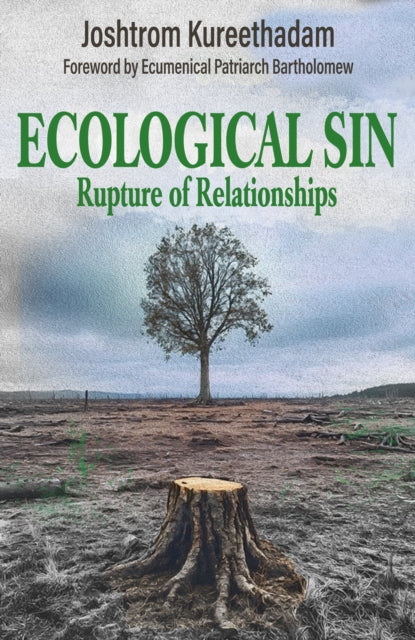 Ecological Sin: Rupture of Relationships