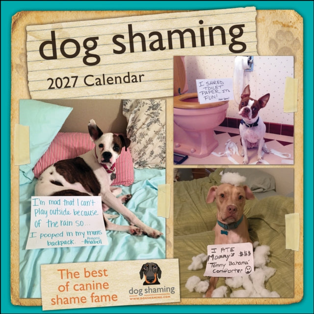 Dog Shaming 2027 Wall Calendar
